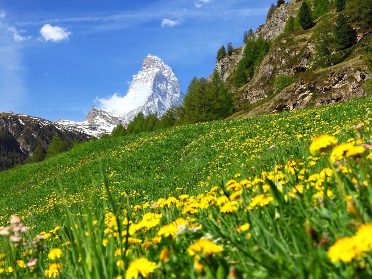Apartment Sungold-1 By Interhome Zermatt Exterior photo